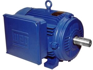 WEG W22 Single Phase Motors – Cast Iron Body