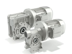 Bonfiglioli VF49 Worm Gearbox