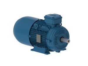 WEG W21 Brake Motors