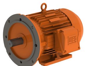 WEG W22 Mining Motors