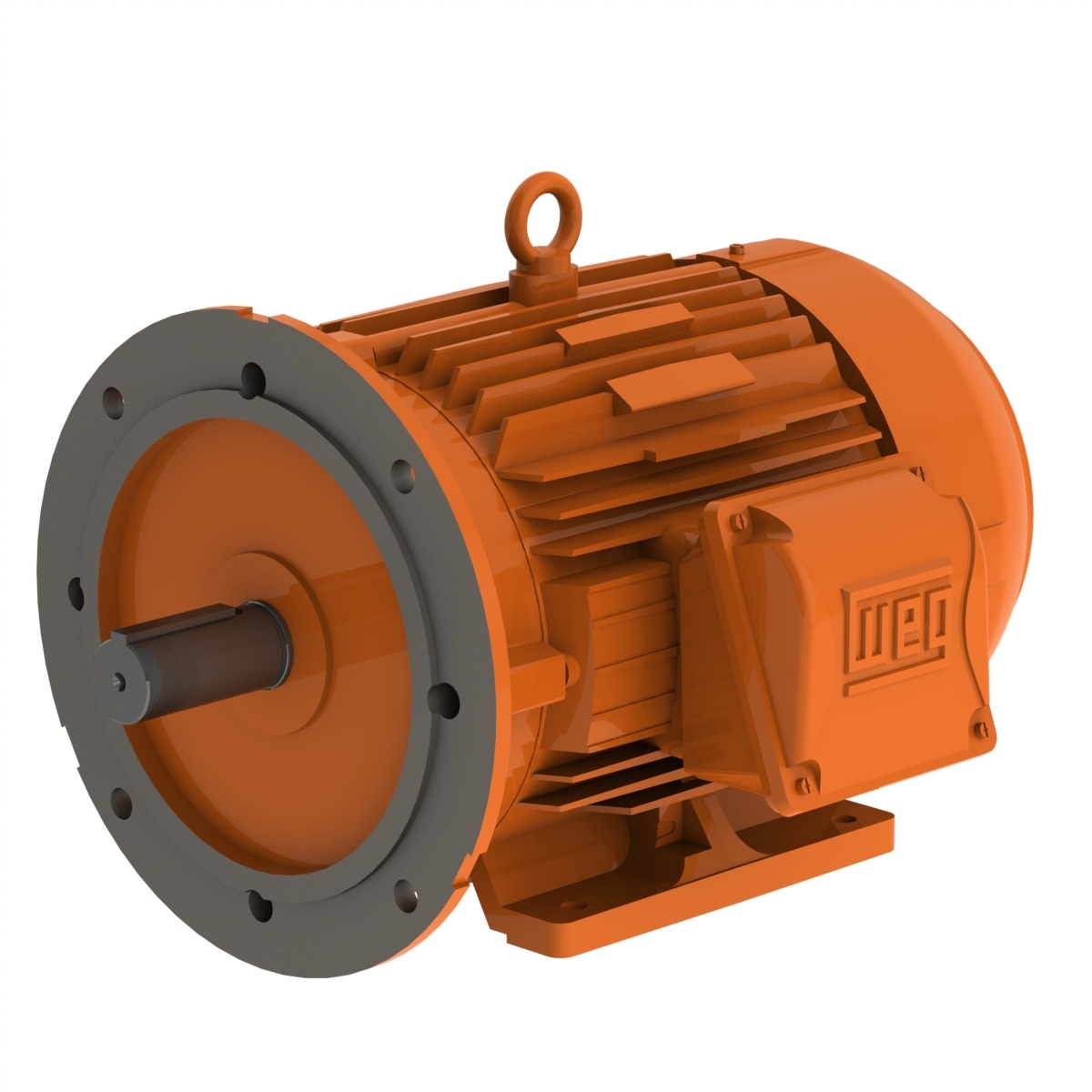 WEG W22 Mining Motors