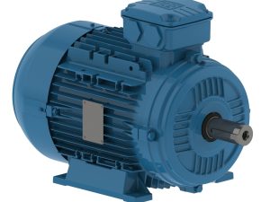 WEG W21 Three Phase Motors
