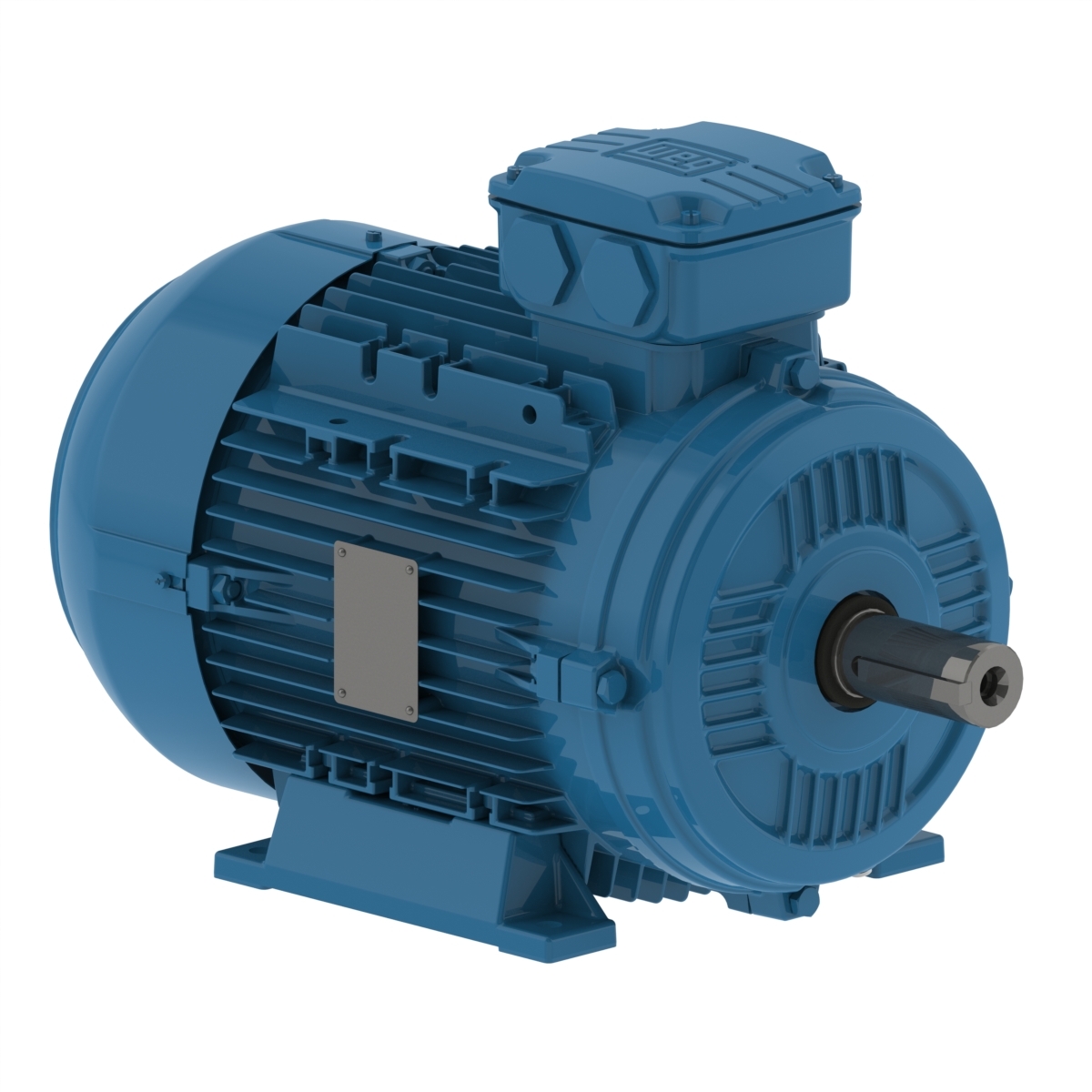 WEG W21 Three Phase Motors