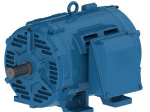 WEG W40 Cast Iron Motor Series