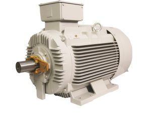 TECO MAXeV4 IE4 Super Premium Efficiency Electric Motors