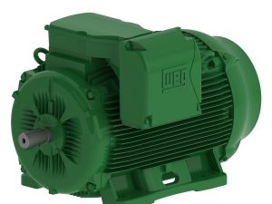 WEG W22 Industrial Motors
