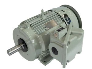 Toshiba Hazardous Area Motors