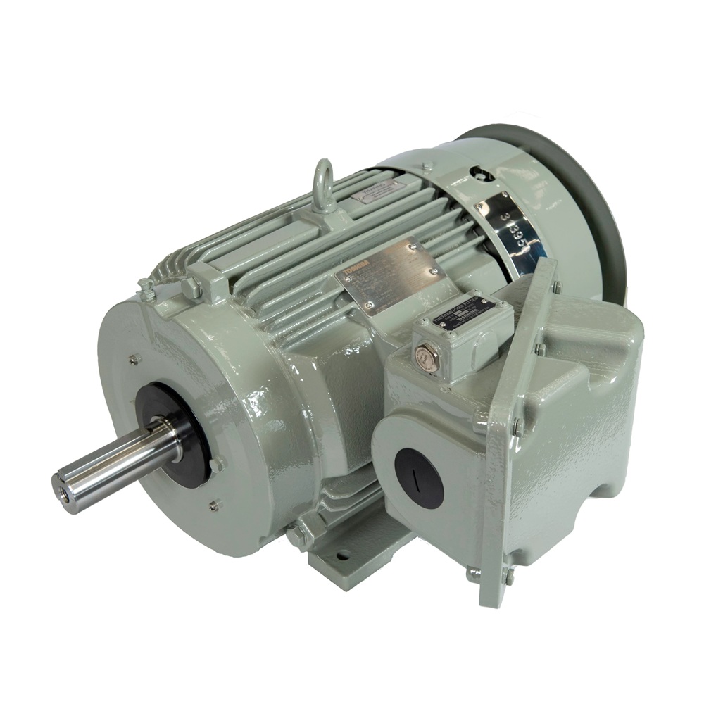 Toshiba Hazardous Area Motors