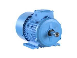 ABB Heavy Industrial Cast Iron Motors