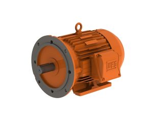 WEG Mining Brake Motors